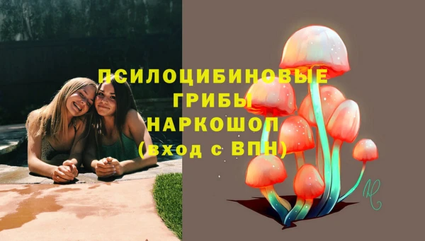 гидра Балахна