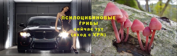 гидра Балахна