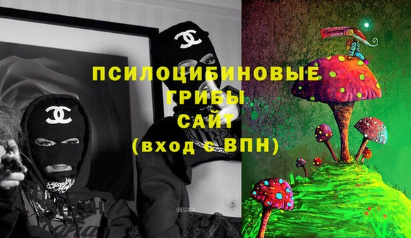 гидра Балахна