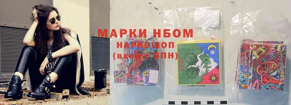 гидра Балахна